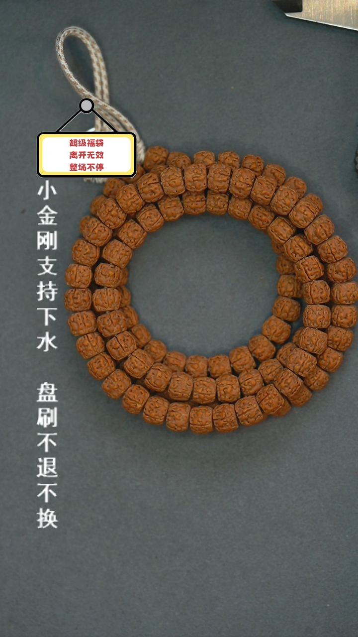 【闪购商品】金刚菩提吊坠哥地利二代盘龙