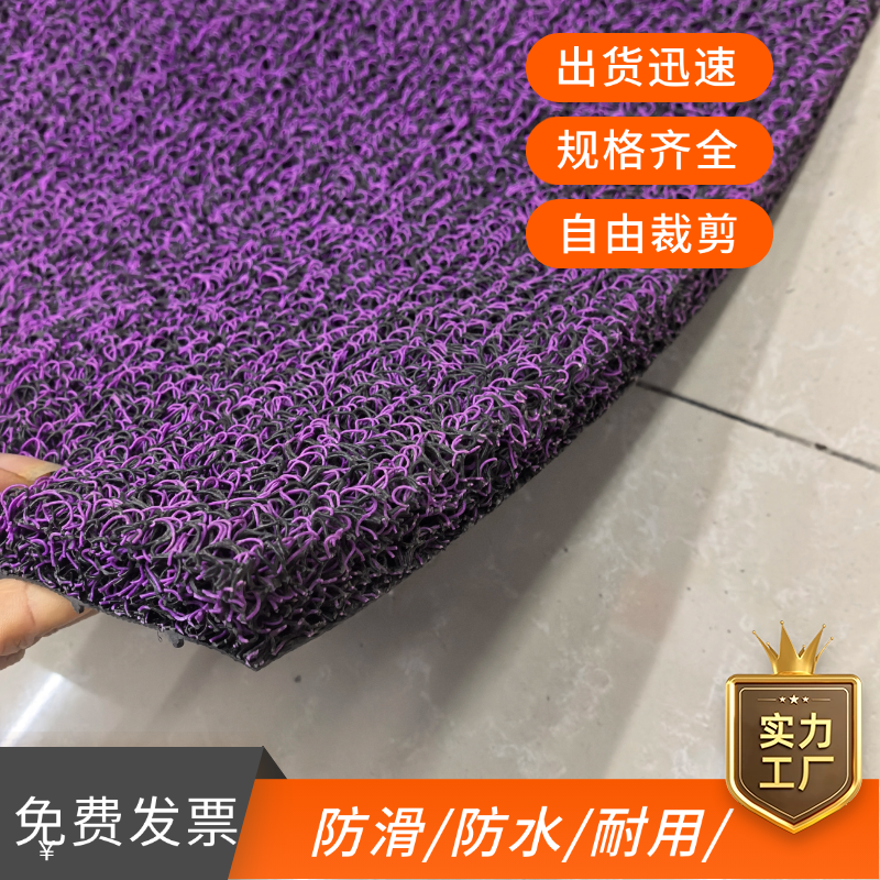 2025入户门地垫加厚塑料垫子防滑垫防水门外加厚入户门丝圈地毯