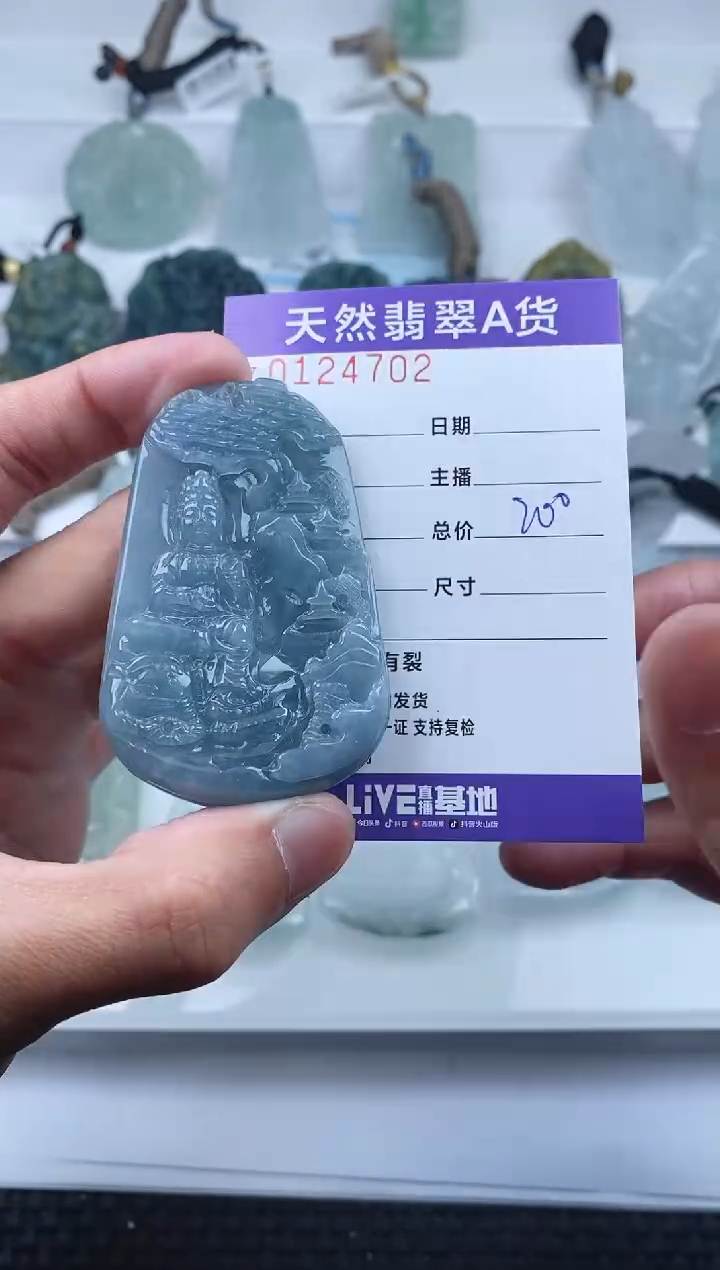 【闪购商品】翡翠颈饰未镶嵌         702