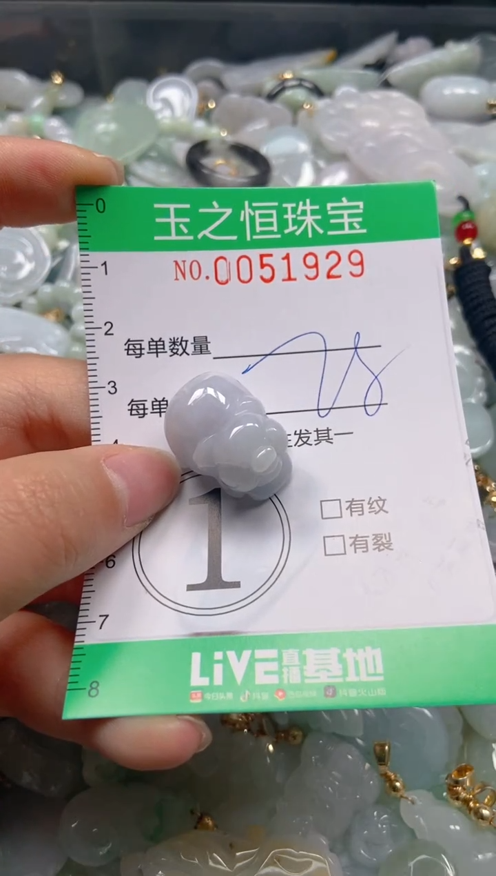 【闪购商品】翡翠颈饰未镶嵌闪购0051929