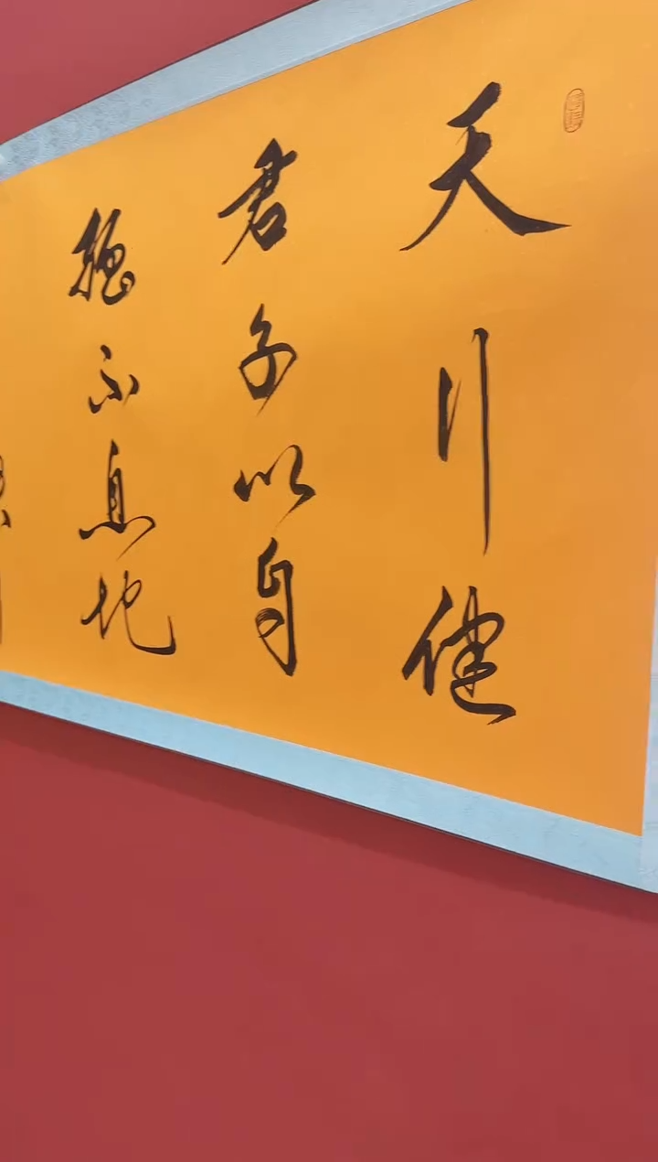 国画王树明 书法 天行健