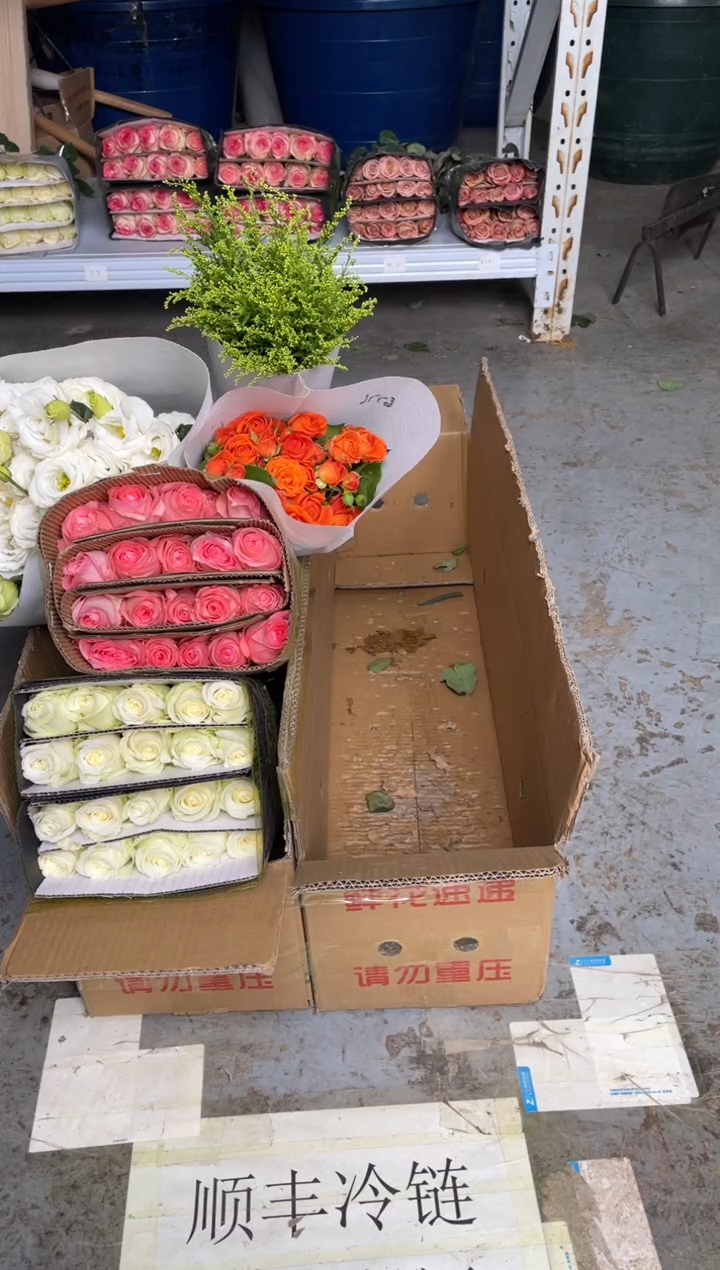 戴安娜20枝+白雪山20枝 +橙色芭比10枝+白桔梗800克+黄莺