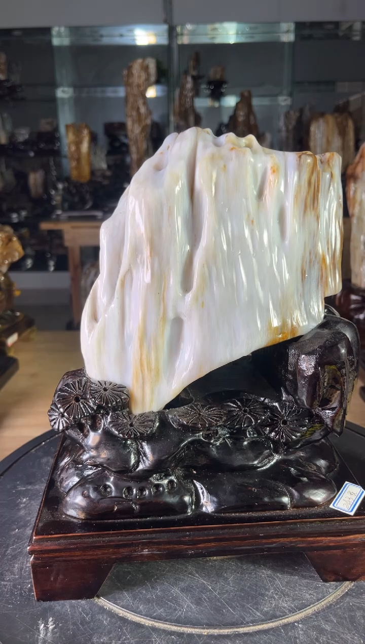 【闪购商品】硅化玉珠宝奇石未镶嵌1