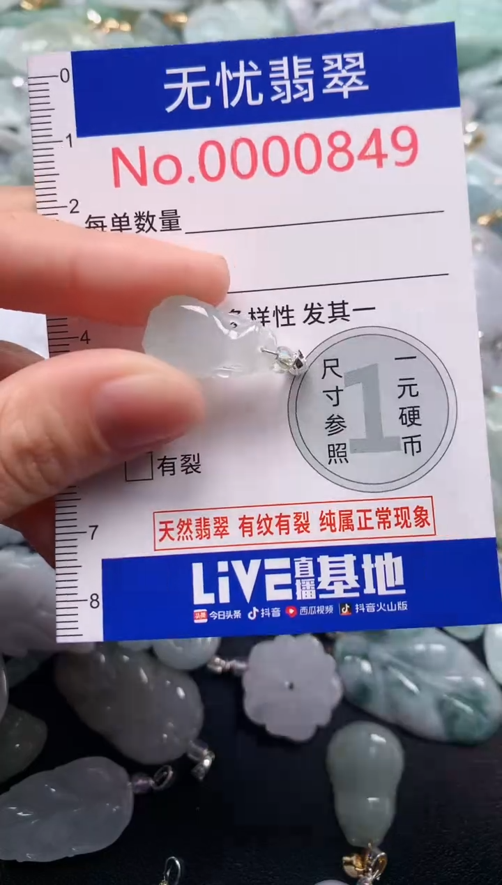 颈饰未镶嵌翡翠849