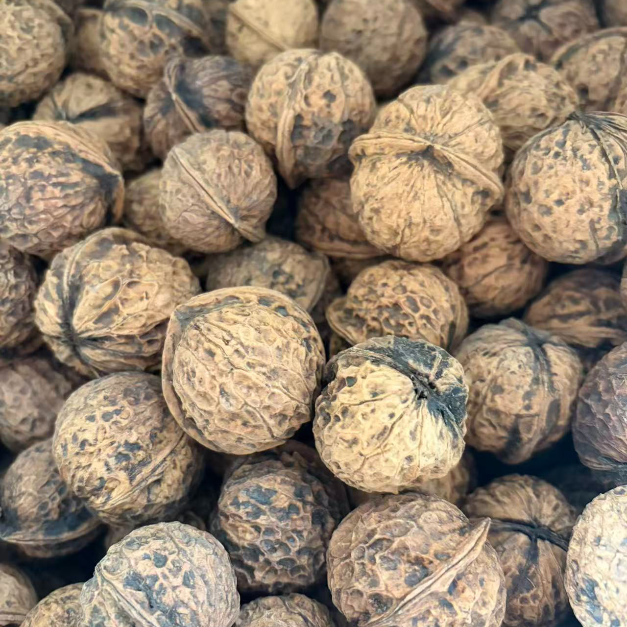 贵州特产薄皮核桃新鲜薄皮多油原味老品种香甜