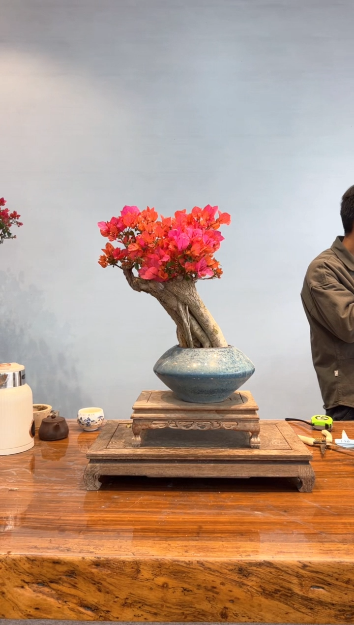 【闪购商品】aa903