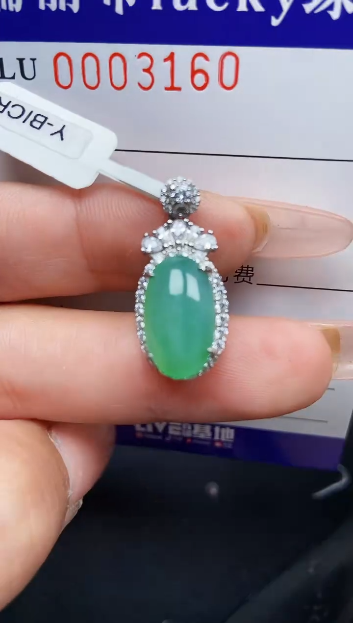 【闪购商品】翡翠颈饰银S925镶嵌3160
