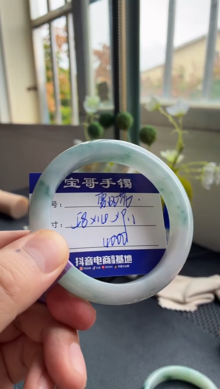 未镶嵌手镯翡翠滕翡翠手镯