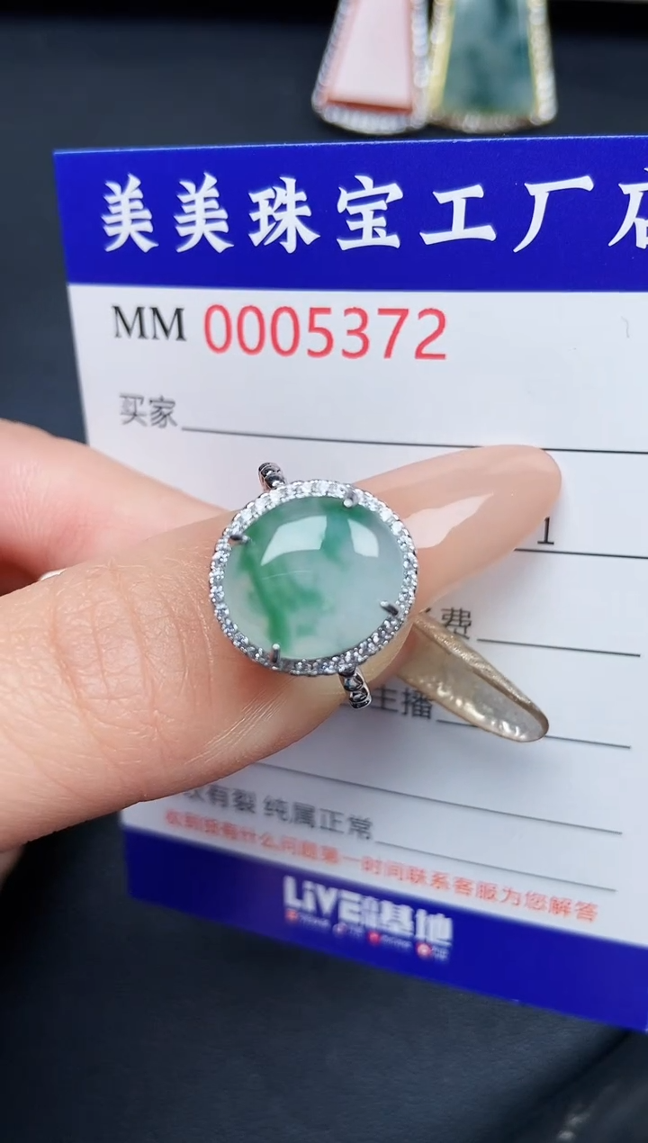 【闪购商品】翡翠颈饰银S925镶嵌5372