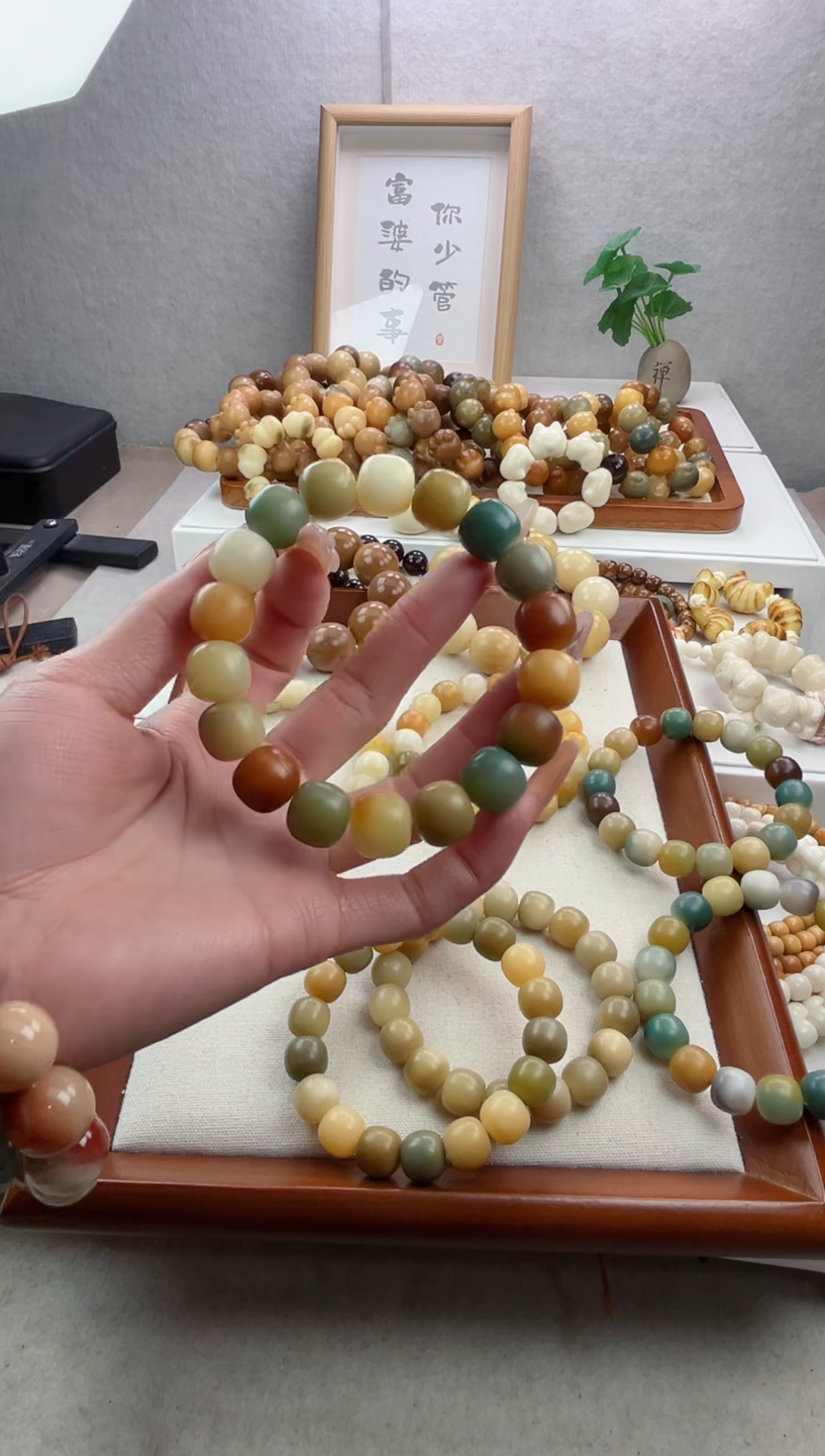 【闪购商品】菩提根/象牙果手串干磨桶珠12*13手串E20