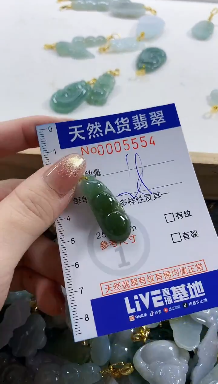 颈饰未镶嵌翡翠天然A货翡翠