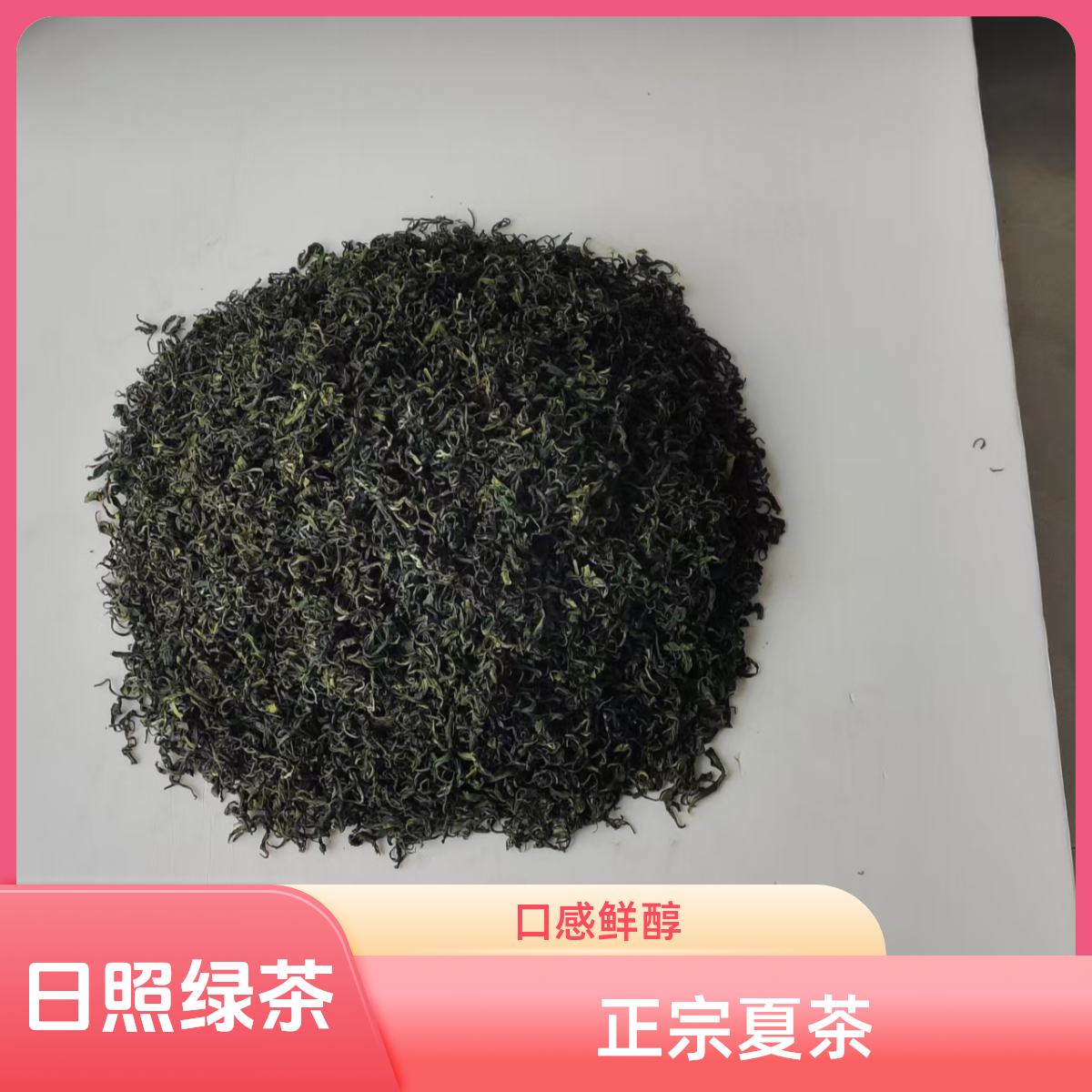 2025年4月中旬炒制正宗日照绿，保证新茶，回味甘甜