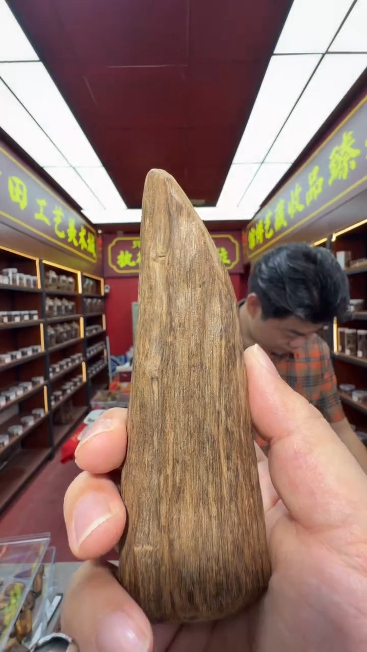 沉香吊坠多样性发一 文莱