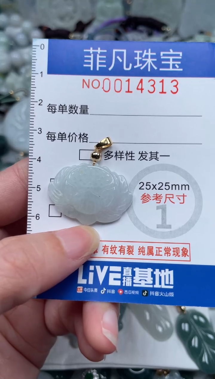 颈饰未镶嵌翡翠14313