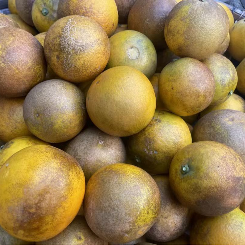 花皮橙 正宗廉江红江橙 花皮果 广东省外包邮到家