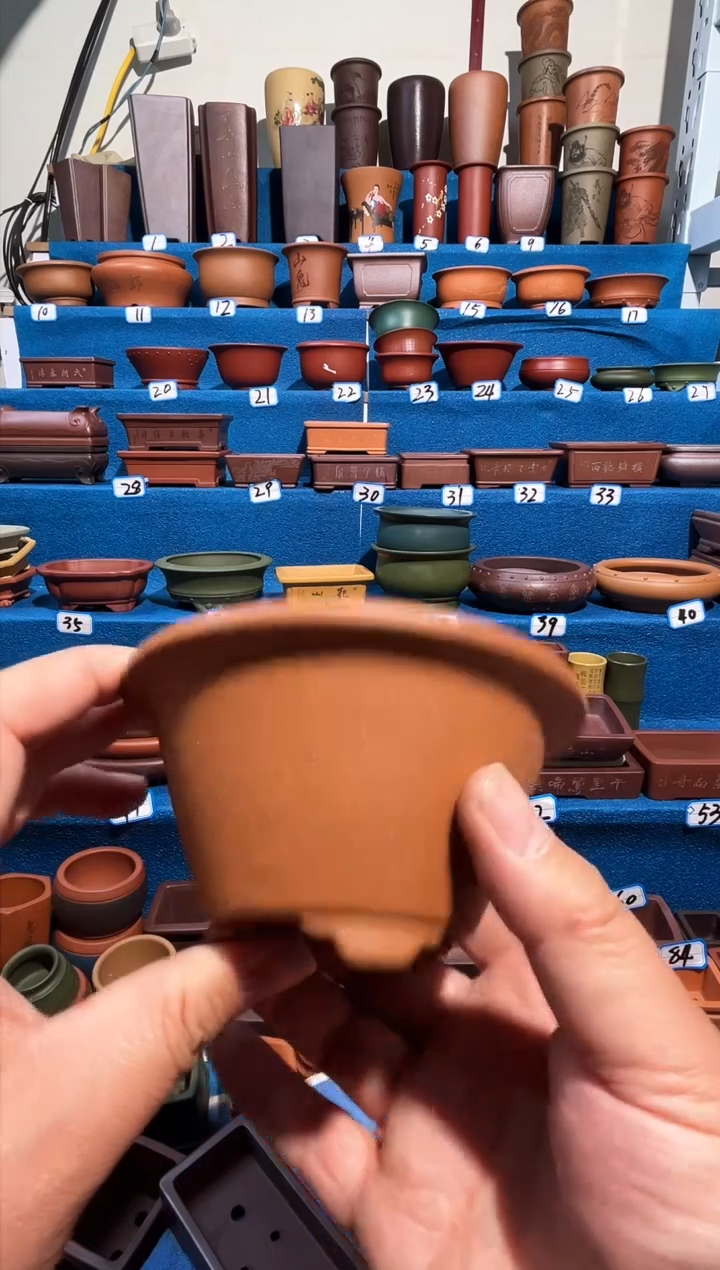 【闪购商品】紫砂紫砂花盆10.5*5