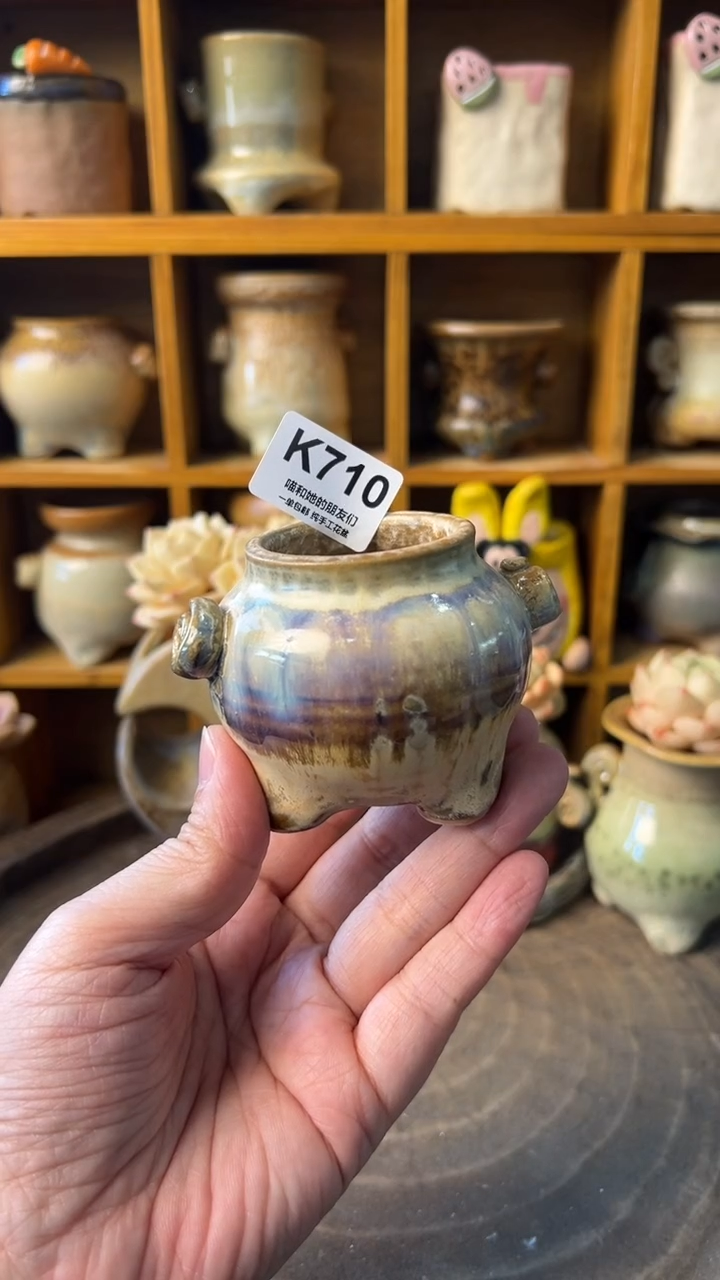 710  内口4【多肉花盆多肉盆】