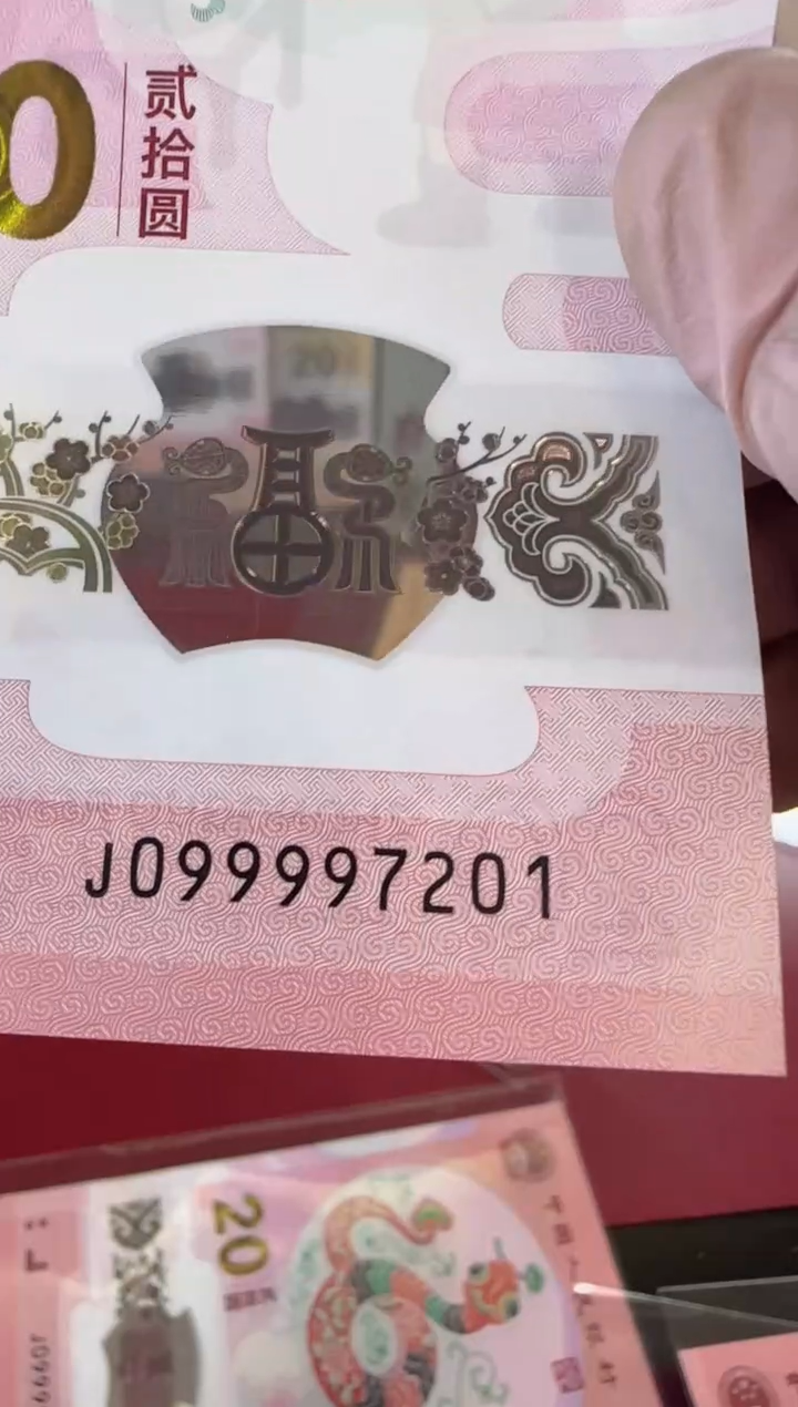 【闪购商品】塑料2025蛇钞单张裸啊啊啊啊啊啊