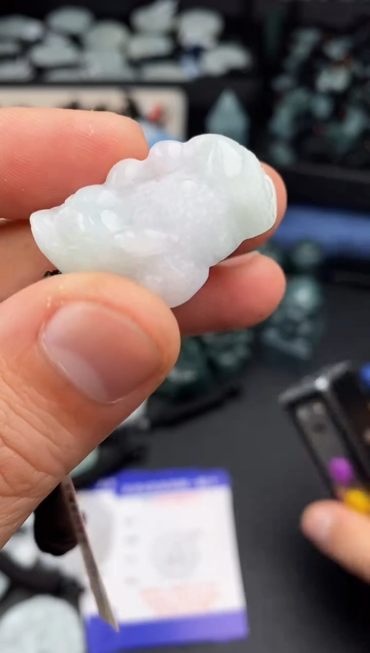 【闪购商品】翡翠颈饰未镶嵌  天然翡翠，一物一图