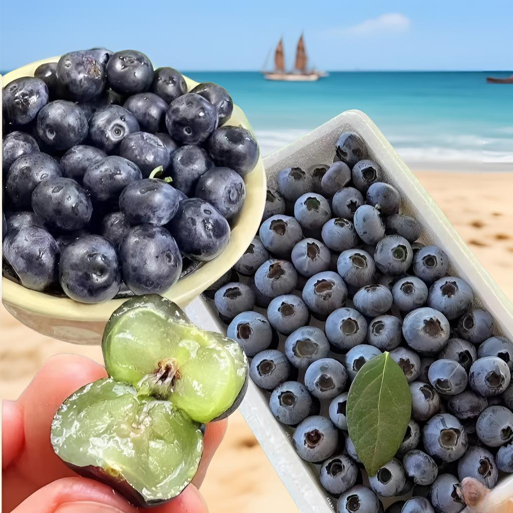 拍一送一【M25神仙莓】800g装 云南抚仙仙莓蓝莓 脆甜爆汁 花香浓郁