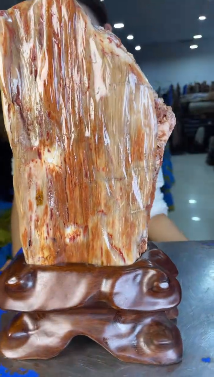 未镶嵌摆件硅化玉39