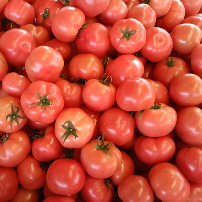 指鲜送 •普罗旺斯 500g