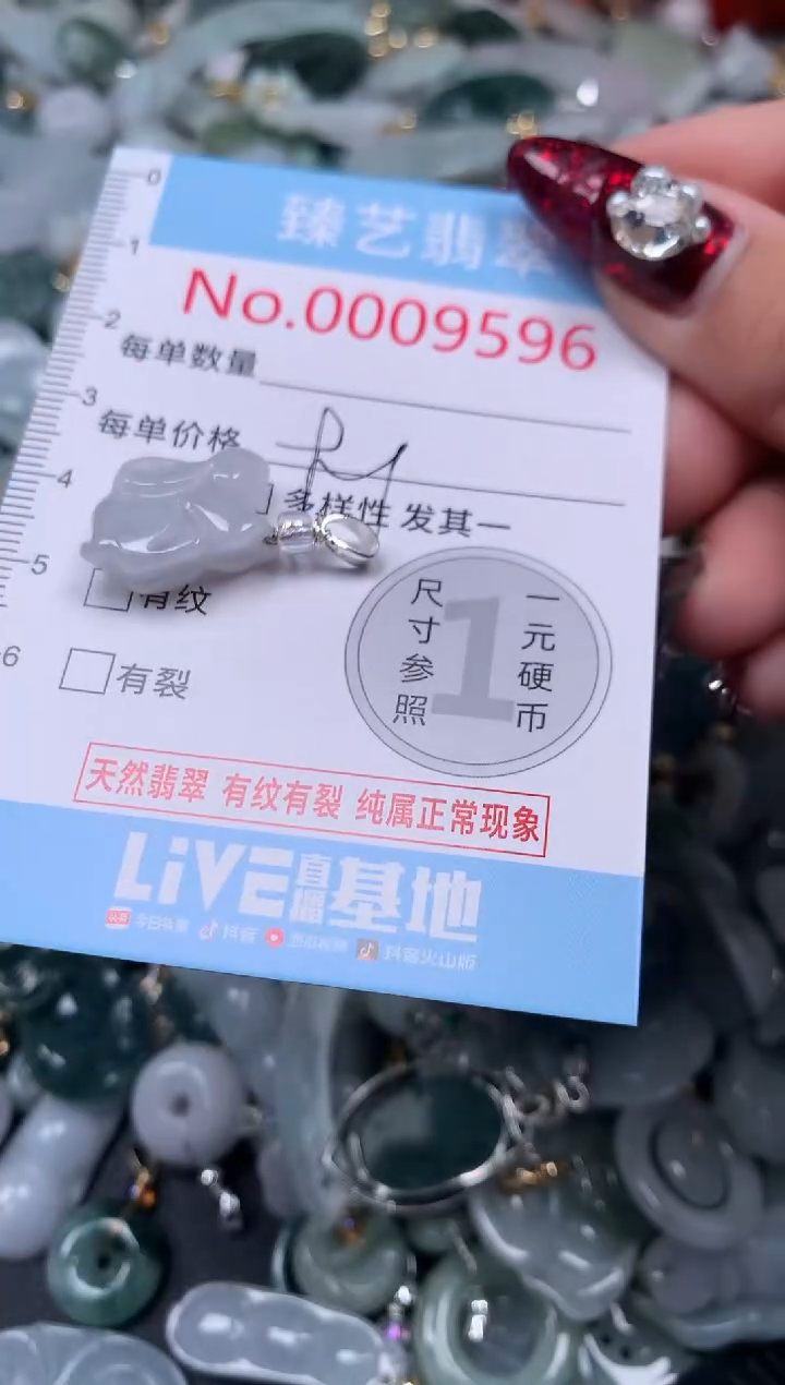 颈饰未镶嵌翡翠9596
