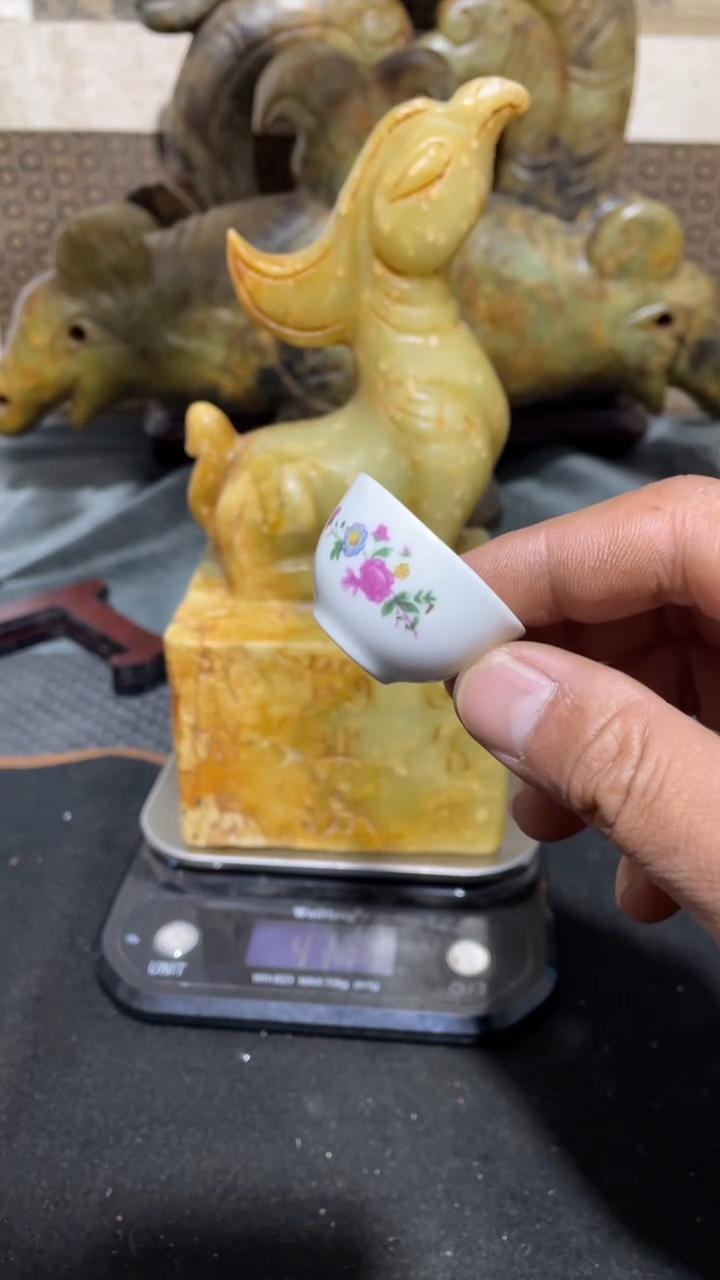 瓷片姐主播推荐好物