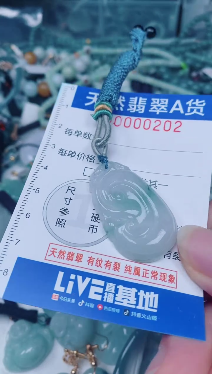 颈饰未镶嵌翡翠00000202