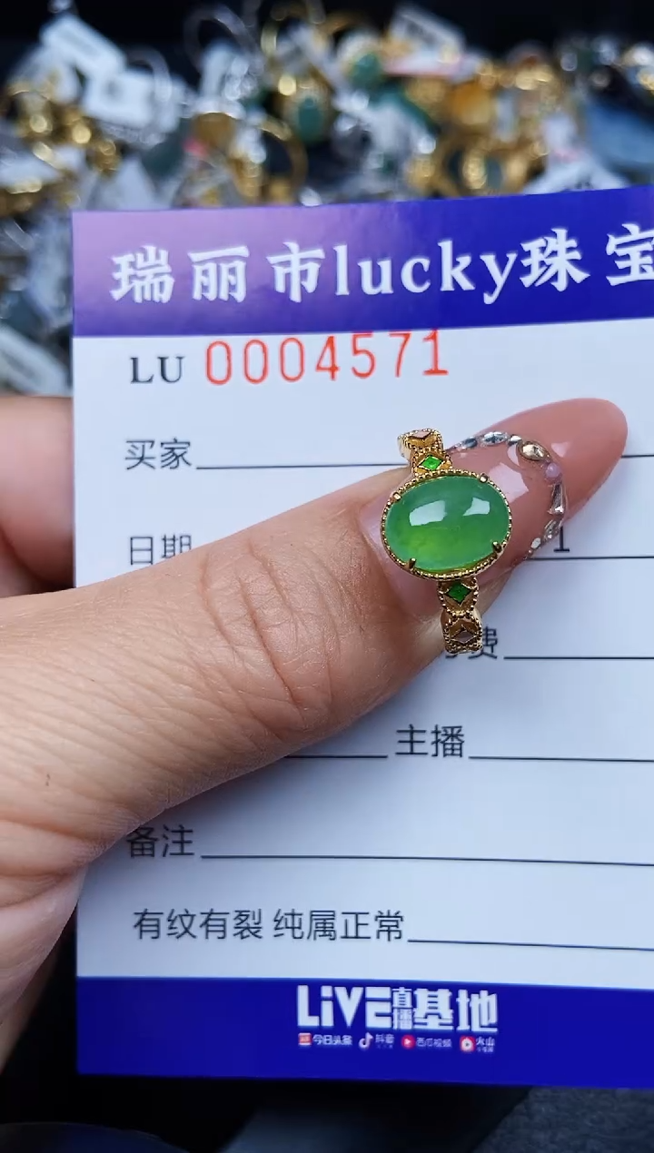 翡翠银S925镶嵌颈饰4571