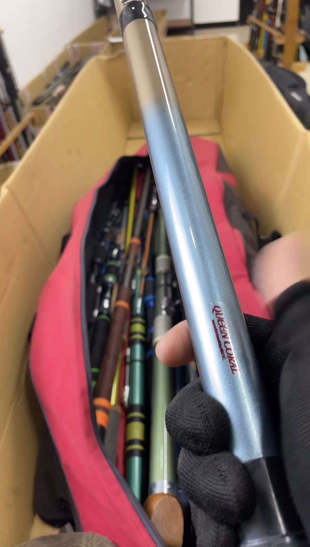 陈*橙孤品微瑕，实物以直播间为准