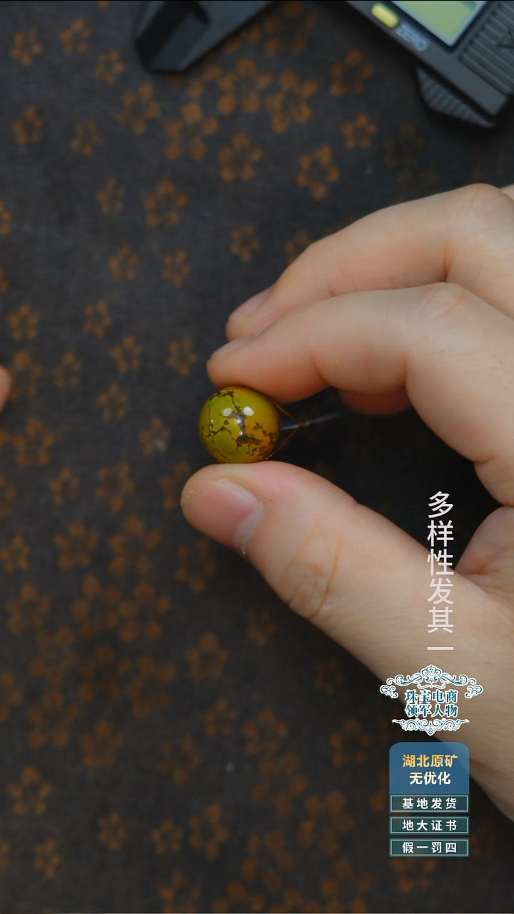 未镶嵌绿松石珠宝奇石A004