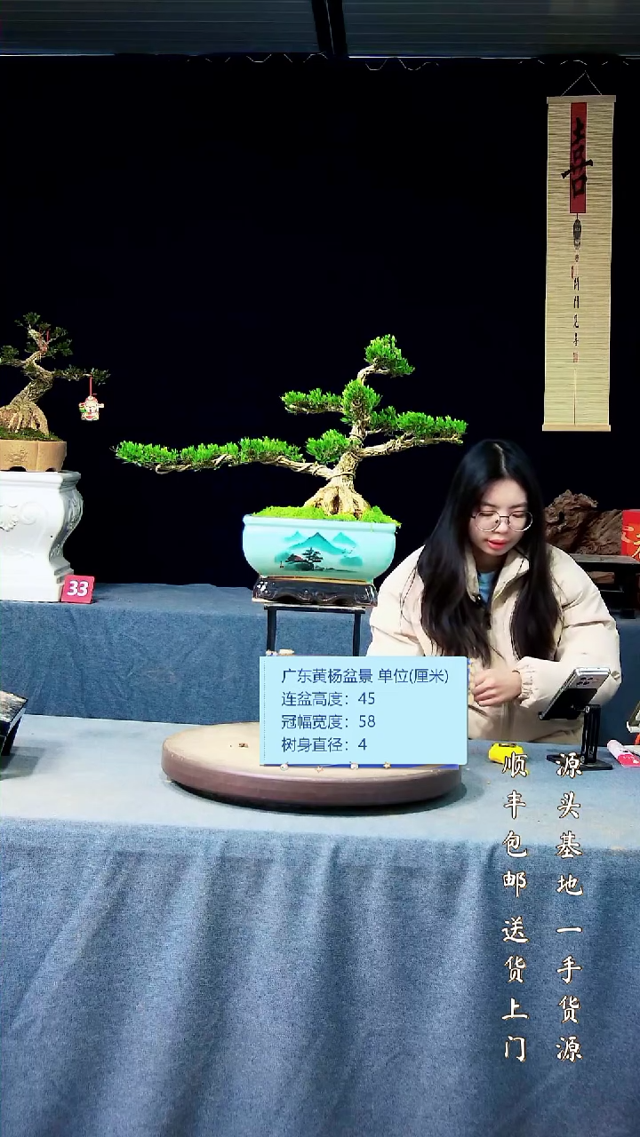 【闪购商品】黄杨盆景黄杨盆景