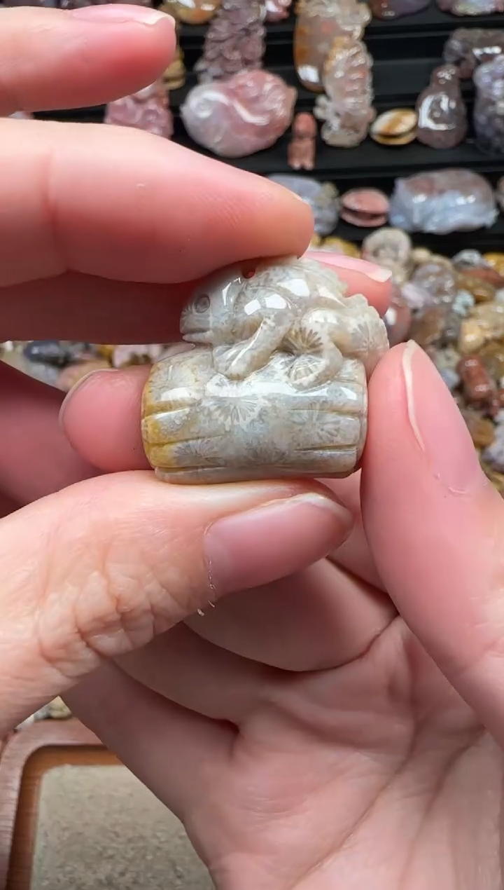 颈饰未镶嵌硅化珊瑚（珊瑚玉）239