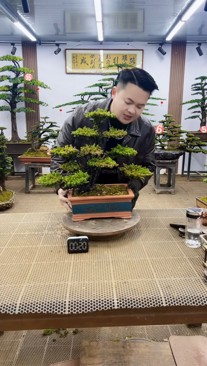 【闪购商品】00000000000