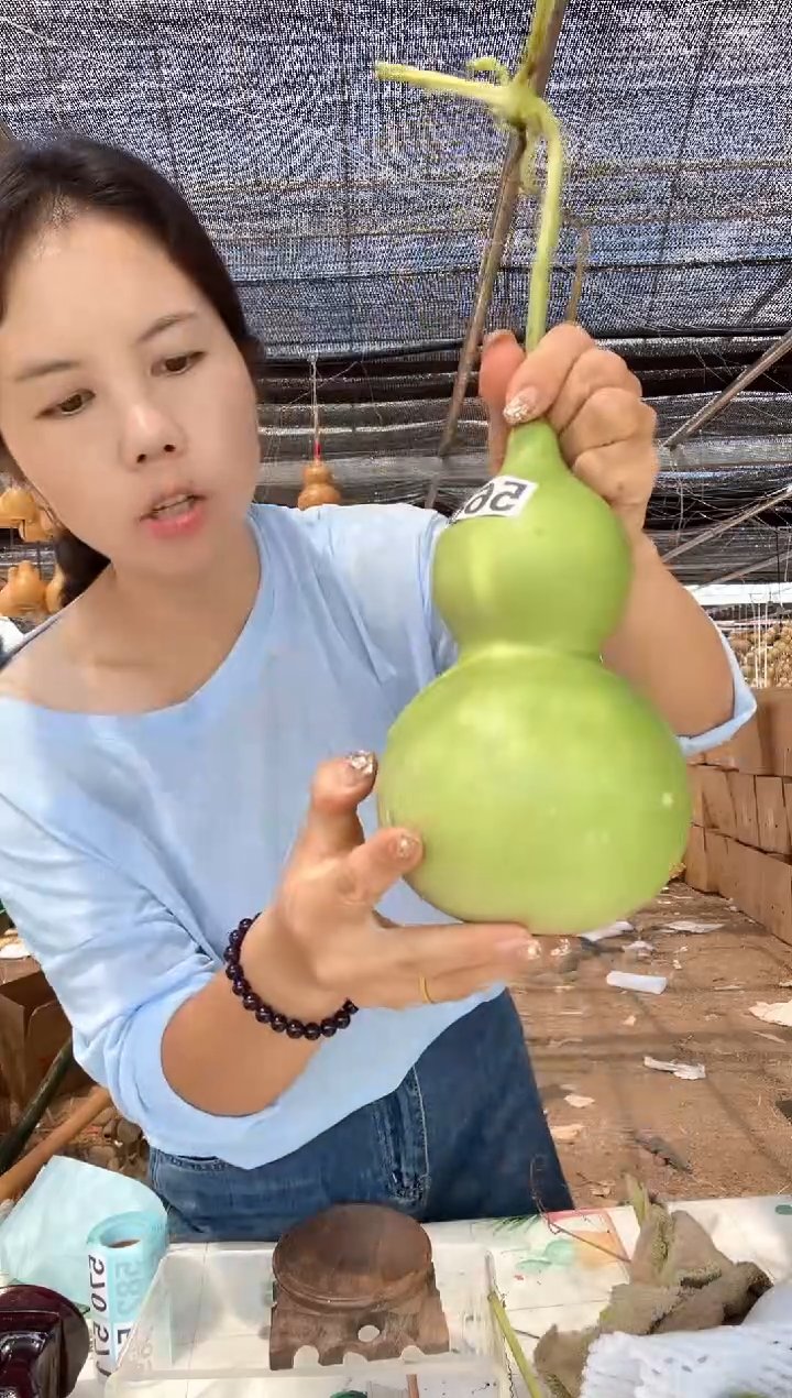 568天然葫芦摆件 一物一拍龙头不保售后微瑕疵