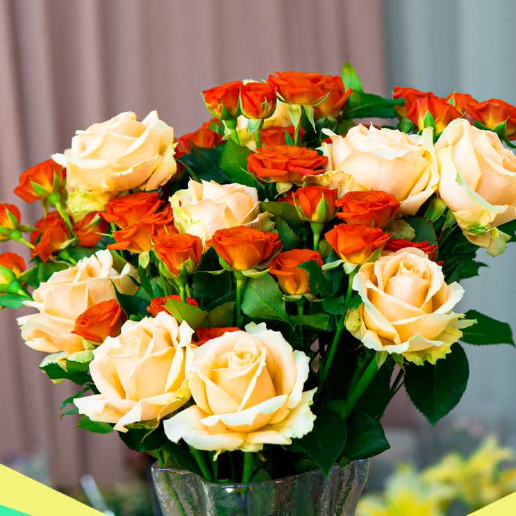 【香槟10枝＋橙芭比10枝＋配草】任意拍两单升级顺丰三单送配草