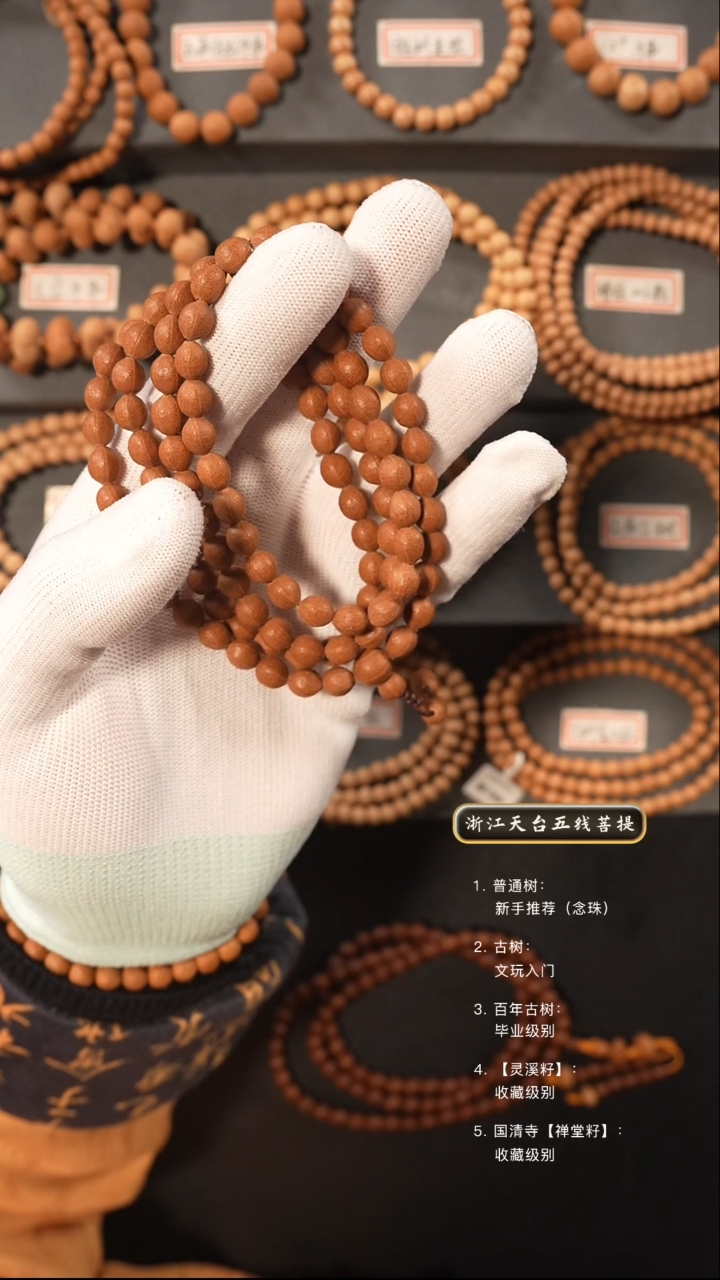 【闪购商品】五线菩提吊坠脖挂