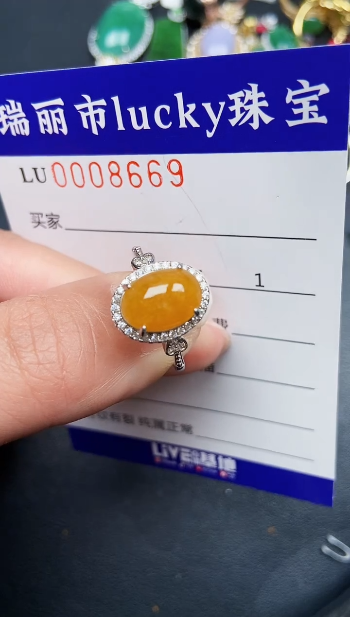 【闪购商品】翡翠颈饰银S925镶嵌8669