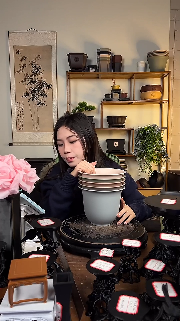 5只18口径金钟马卡龙色系