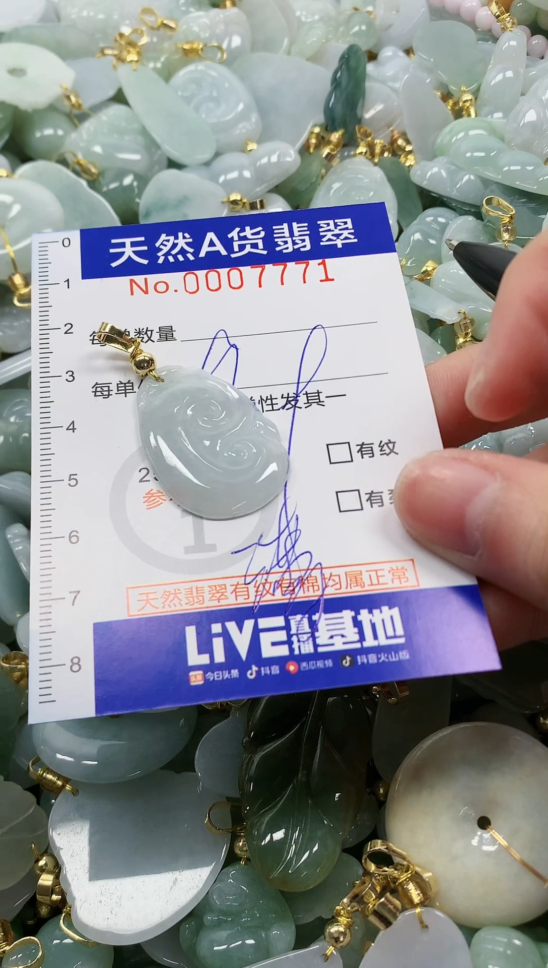 颈饰未镶嵌翡翠纯天然a货翡翠