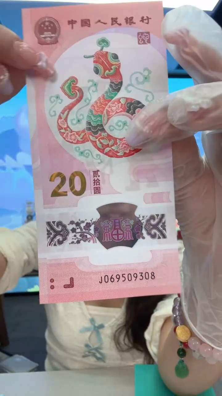 塑料蛇钞一张069509308