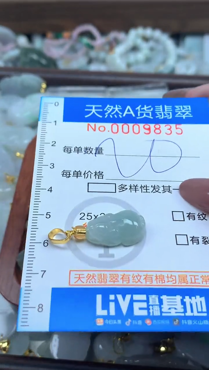 颈饰未镶嵌翡翠净货挂件-9835