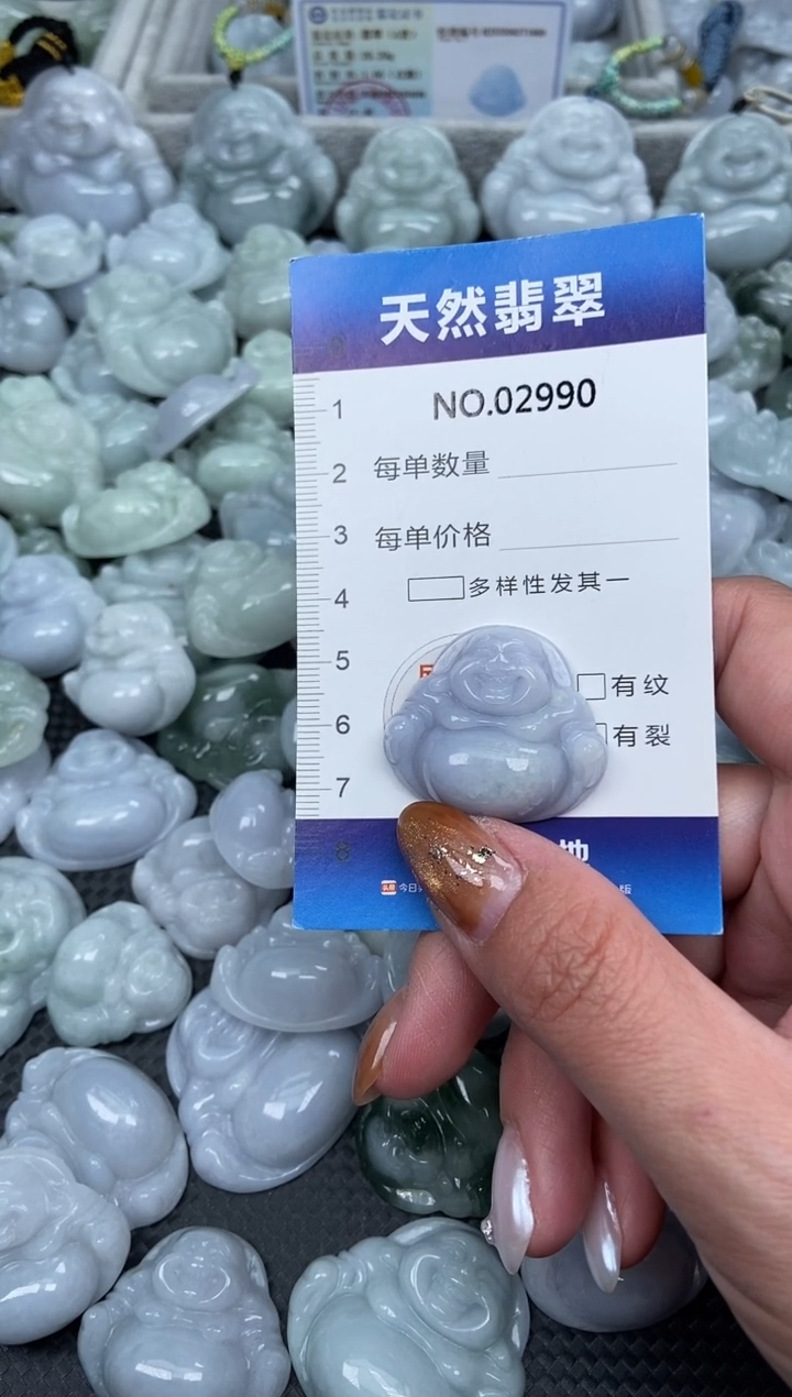 颈饰未镶嵌翡翠纯天然A货翡翠2990