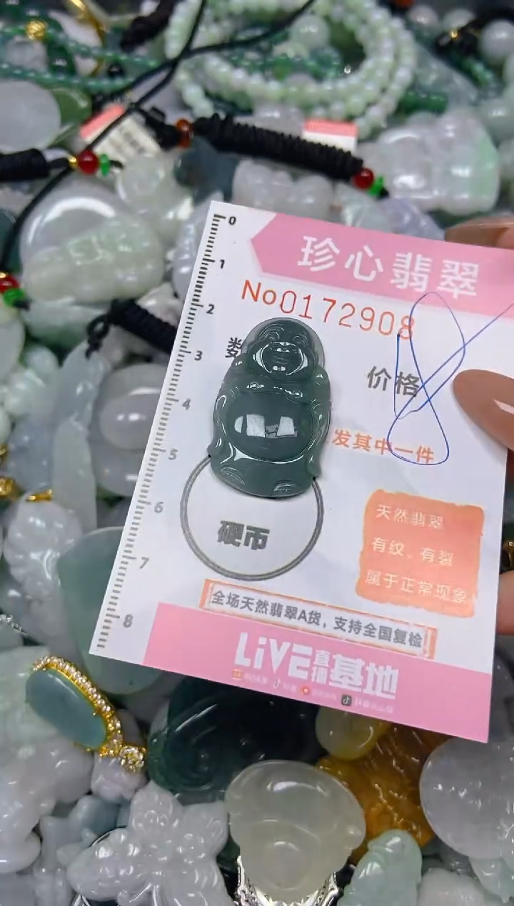 【闪购商品】翡翠颈饰未镶嵌闪购0172908