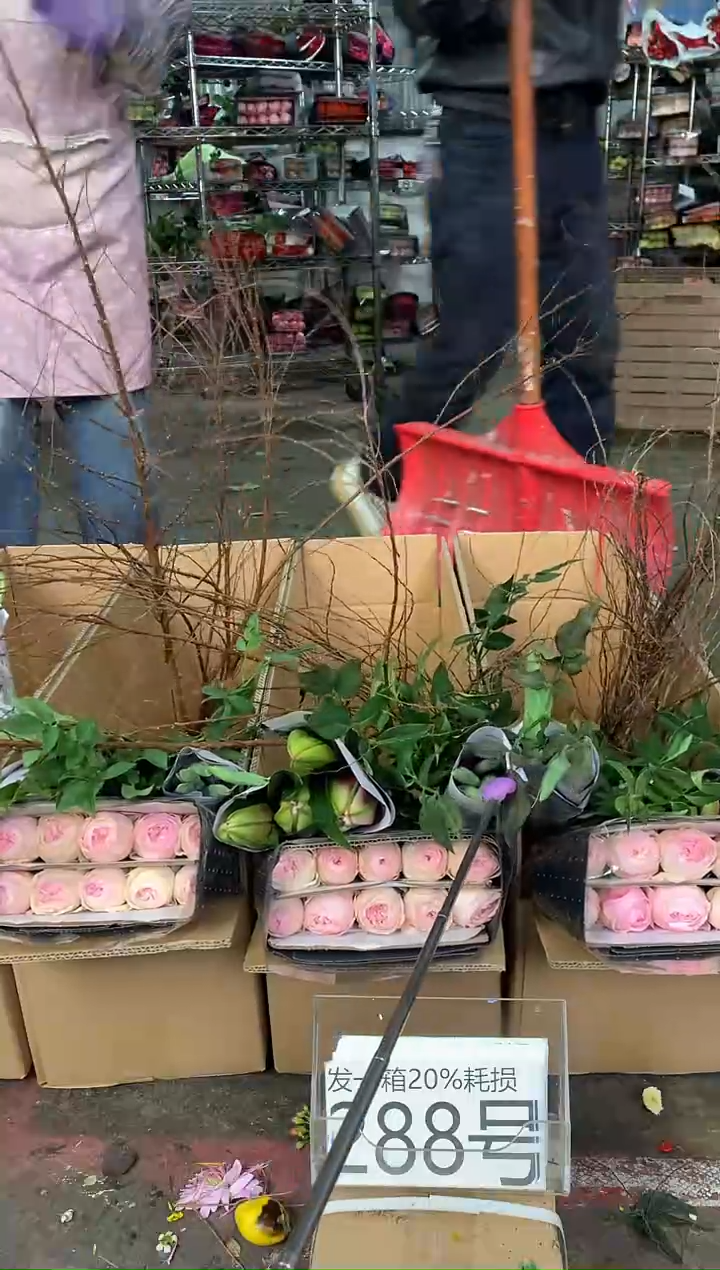 288号♥中通含20%耗损发一箱鲜花