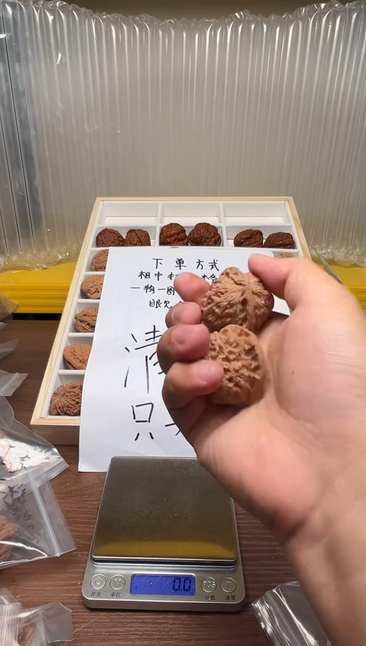 把件文玩核桃+*40白狮子