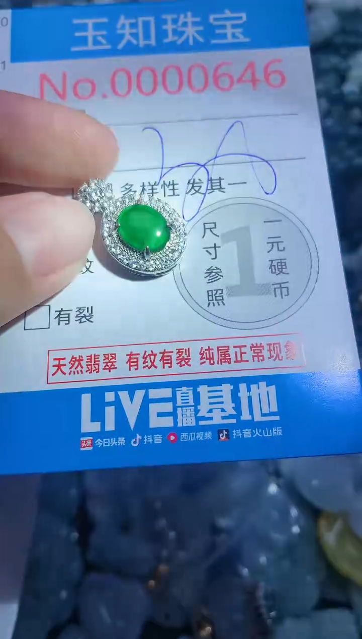 【闪购商品】翡翠吊坠(不含链)未镶嵌646