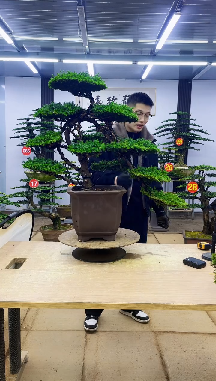 无花朵鸿****场000000000000000000000