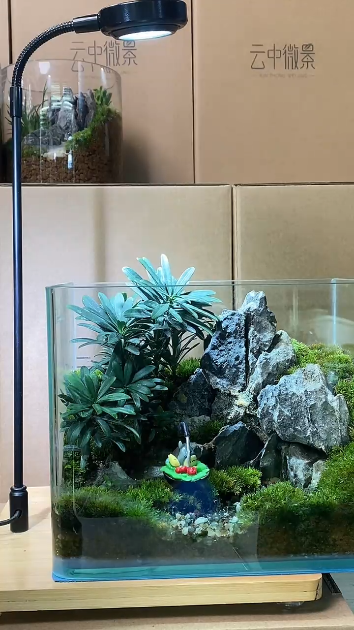【闪购商品】孤品热弯缸微景观
